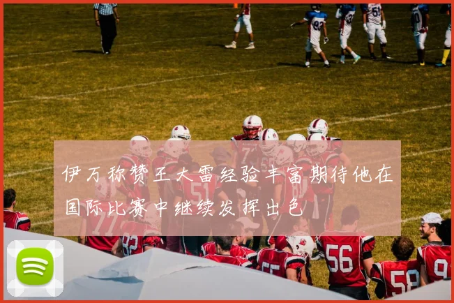 伊万称赞王大雷经验丰富期待他在国际比赛中继续发挥出色