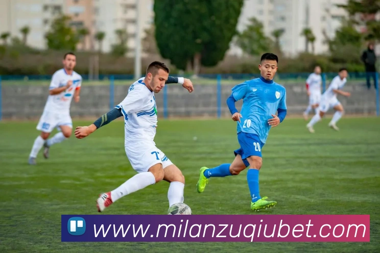 多媒体互动体验